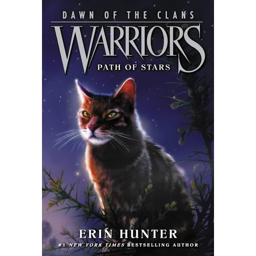 Warriors: Dawn of the Clans #6: Path of Stars - Paperback