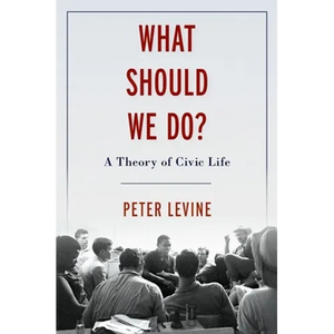 What Should We Do?: A Theory of Civic Life - Hardcover