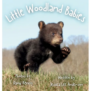 Little Woodland Babies - Hardcover