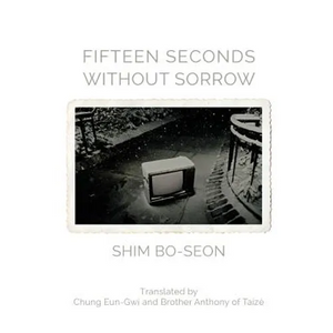 Fifteen Seconds without Sorrow - Paperback
