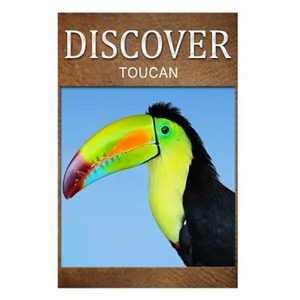 Toucan - Discover: Early reader's wildlife photography book - Paperback