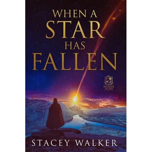 When a Star Has Fallen - Paperback