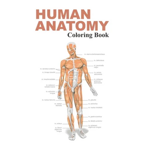Human Anatomy Coloring Book: The Anatomy Coloring Book - Paperback