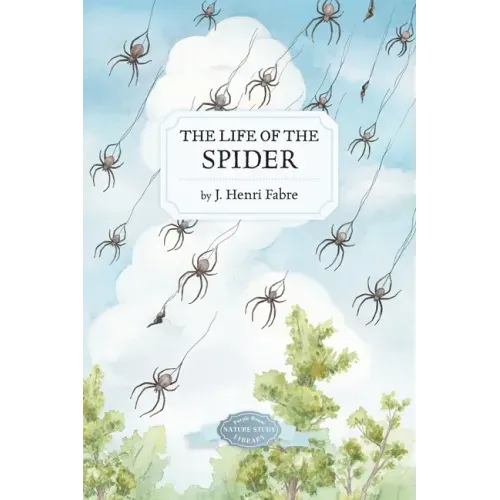 The Life of the Spider - Paperback