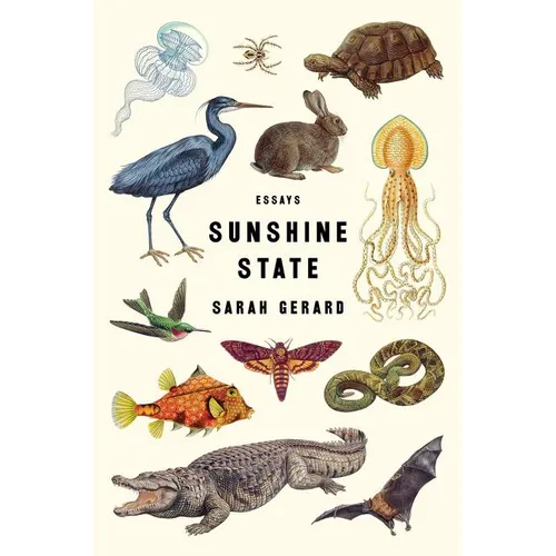 Sunshine State: Essays - Paperback
