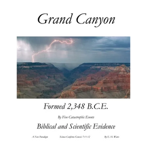 Grand Canyon: A New Paradigm - Paperback