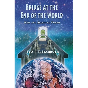 Bridge at the End of the World - Paperback