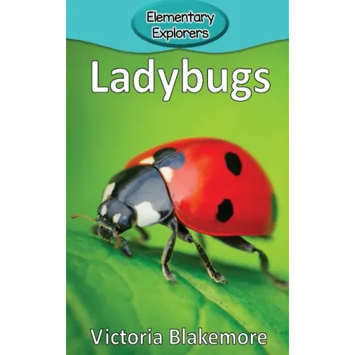 Ladybugs - Hardcover