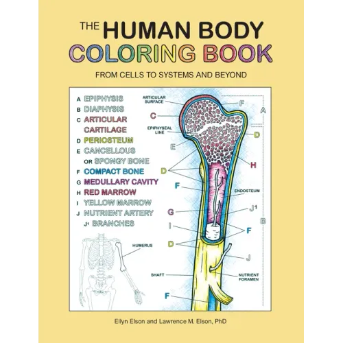 The Human Body Coloring Book: From Cells to Systems and Beyond - Paperback