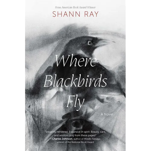 Where Blackbirds Fly - Paperback