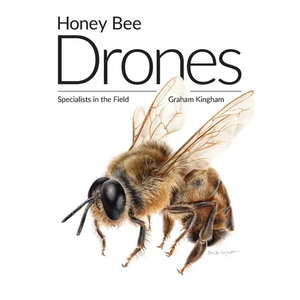 Honey Bee Drones: Specialists in the Field - Paperback