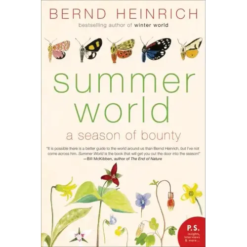 Summer World - Paperback