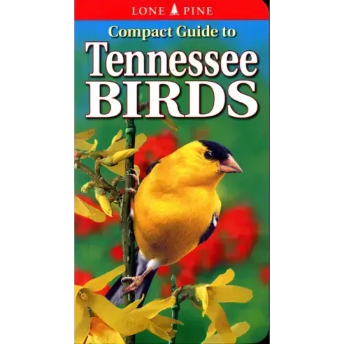Compact Guide to Tennessee Birds - Paperback