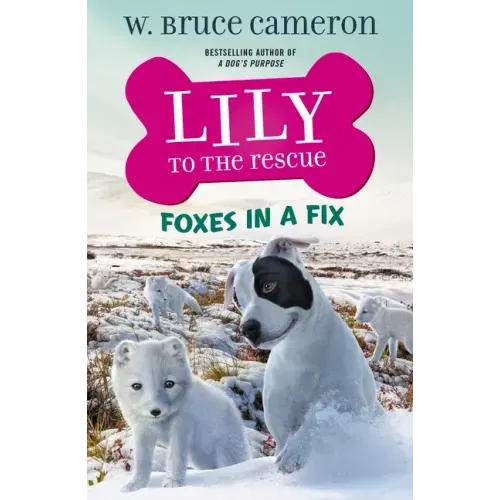 Lily to the Rescue: Foxes in a Fix - Paperback