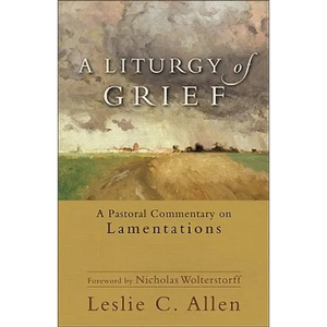 A Liturgy of Grief: A Pastoral Commentary on Lamentations - Paperback