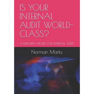 Is Your Internal Audit World-Class?: A Maturity Model for Internal Audit - Paperback
