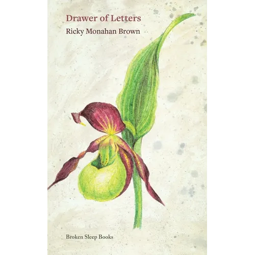 Drawer of Letters - Paperback