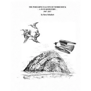 The Peregrine Falcons of Morro Rock - A 50-Year History: 1967 - 2017 - Paperback