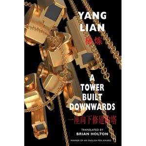 A Tower Built Downwards - Paperback