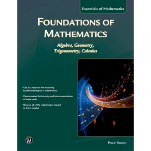 Foundations of Mathematics: Algebra, Geometry, Trigonometry and Calculus - Paperback