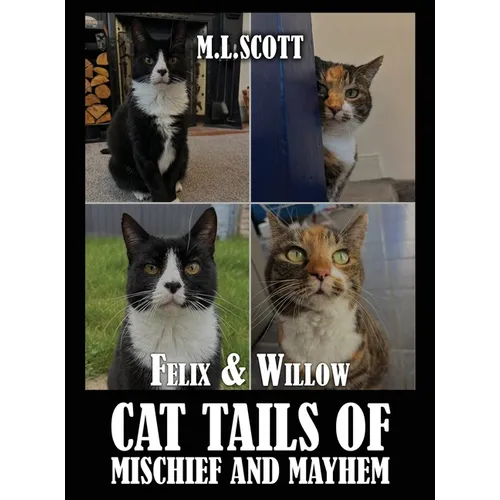 Felix & Willow cat tails of mischief and mayhem - Hardcover