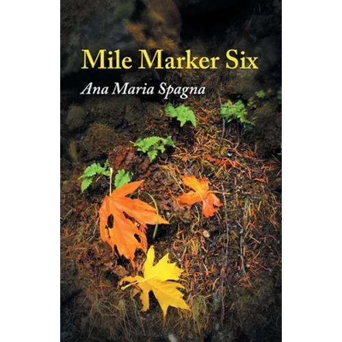 Mile Marker Six - Paperback