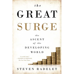 The Great Surge - Paperback