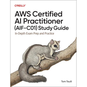 AWS Certified AI Practitioner (Aif-C01) Study Guide: In-Depth Exam Prep and Practice - Paperback