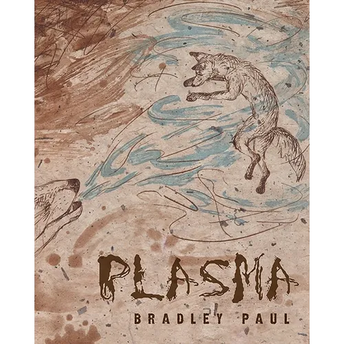 Plasma - Paperback