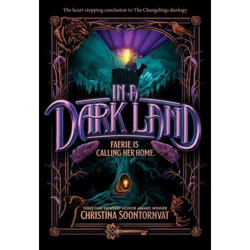 In a Dark Land - Paperback