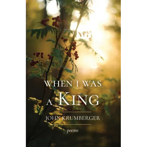 When I Was a King - Paperback