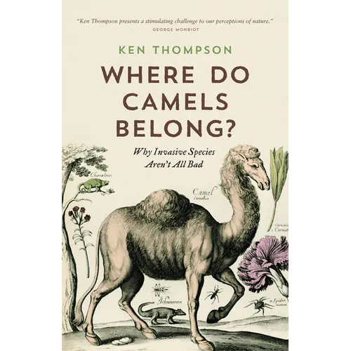 Where Do Camels Belong?: Why Invasive Species Aren't All Bad - Paperback
