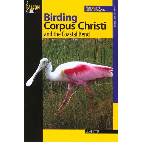 Birding Corpus Christi and the Coastal Bend - Paperback
