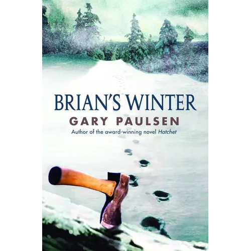 Brian's Winter - Hardcover