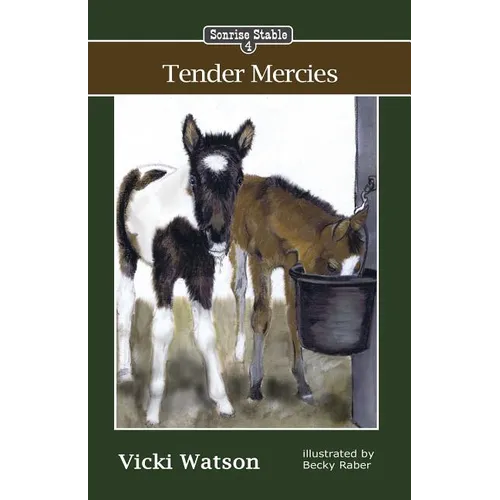 Sonrise Stable: Tender Mercies - Paperback