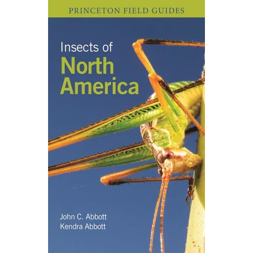 Insects of North America - Paperback