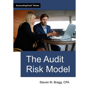 The Audit Risk Model - Paperback