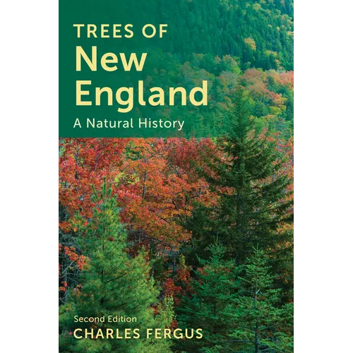 Trees of New England: A Natural History - Paperback