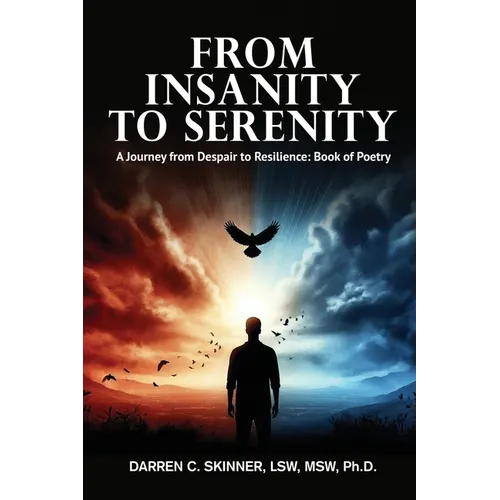 From Insanity to Serenity: A Journey from Despair to Resilience - Paperback