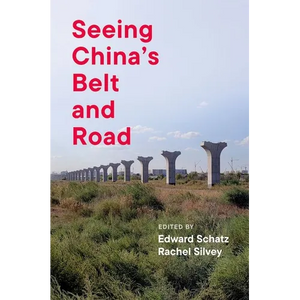 Seeing China's Belt and Road - Paperback