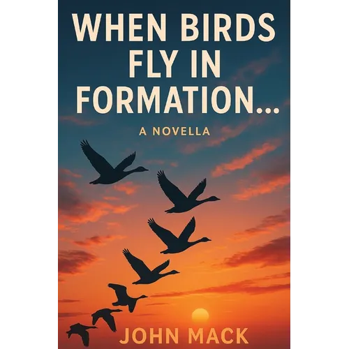 When Birds Fly In Formation - Paperback
