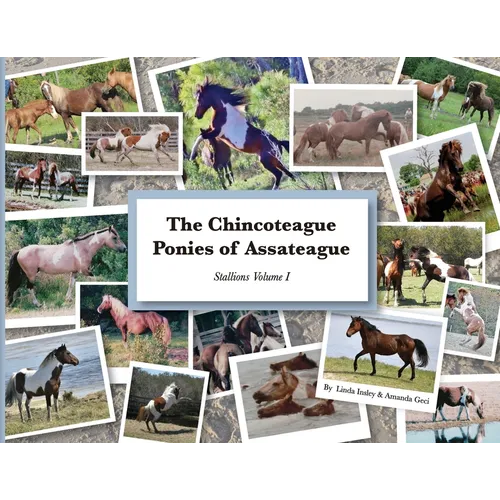 The Chincoteague Ponies of Assateague: Volume I Stallions - Paperback