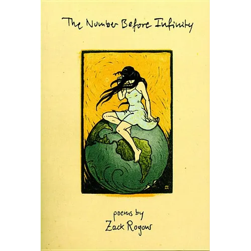 The Number Before Infinity - Paperback
