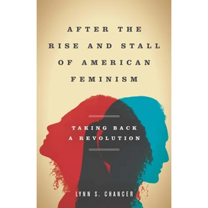After the Rise and Stall of American Feminism: Taking Back a Revolution - Hardcover