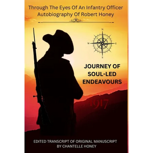 Journey of Soul-Led Endeavors - Hardcover