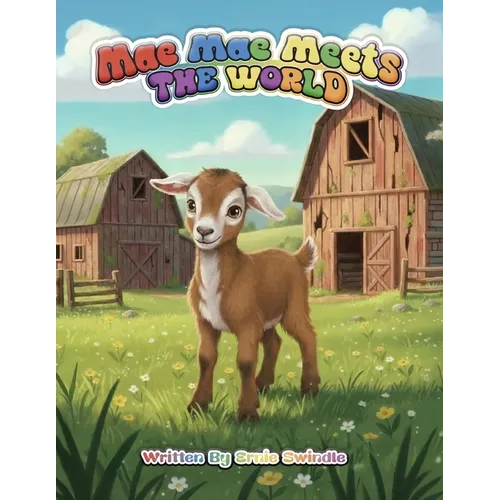 Mae Mae Meets the World - Paperback