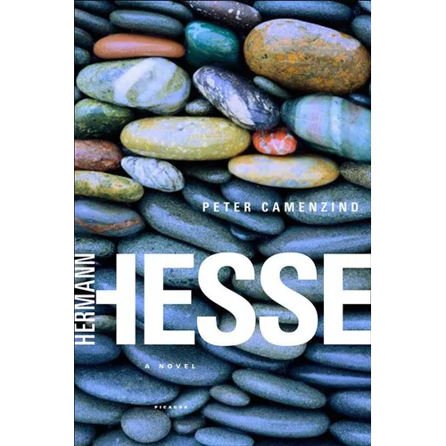 Peter Camenzind - Paperback