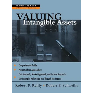 Valuing Intangible Assets - Hardcover