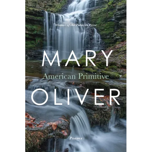 American Primitive - Paperback
