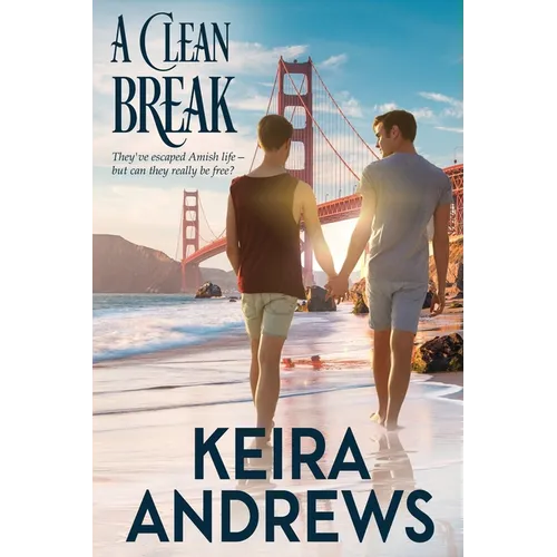 A Clean Break - Paperback